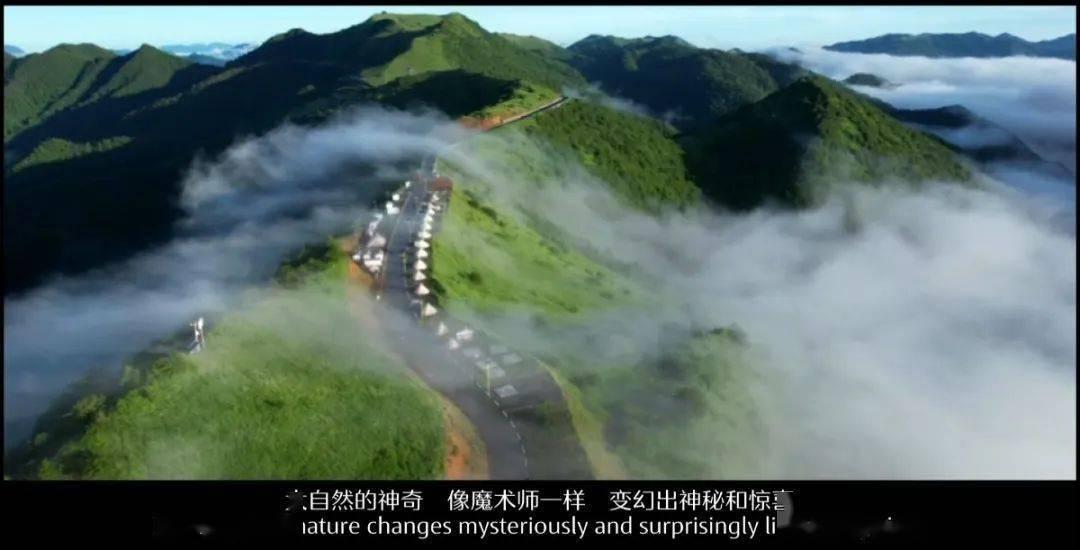 证券代码:600331 证券简称:宏达股份 公告编号:临2024-001
